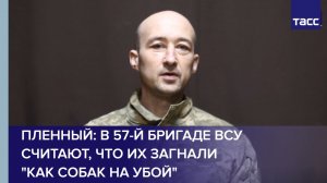 Пленный Матийцев: в 57-й бригаде ВСУ считают, что их загнали "как собак на убой"