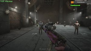 Pioner изделие 33