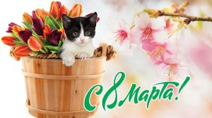 С 8 марта! Обалденная красивая открытка на 8 марта! Супер поздравление! С международным женским днём