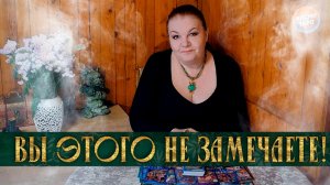 ВЫ ЭТОГО НЕ ЗАМЕЧАЕТЕ! НО ЭТО ВСЕЛЕННАЯ ДАЕТ ВАМ ПОДСКАЗКИ! | Гадание таро расклад