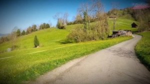 Весна в Швейцарии🇨🇭Пешая экскурсия по Сельской местности Швейцарии с Красотами Одуванчиков🌼