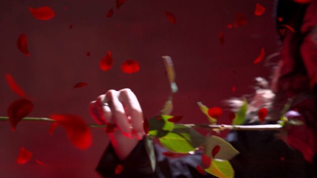 Время расцветать! Тренировки дома -60% ПРОМОКОД MART8