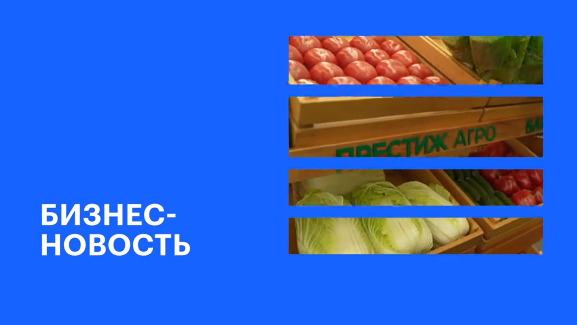 В Краснодарском крае во второй раз проходит форум «Овощевод России» || РБК Бизнес-новость