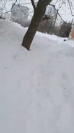 иду домой после школы