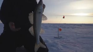 ОДИН НА ЛЬДУ. ЗАМЕРЗ С НОВЫМ ОТОПИТЕЛЕМ