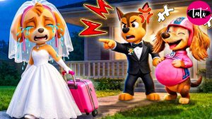 Щенячий патруль и Маршалл. Залипательное видео. Мультфильм для детей и малышей. Анимация 335