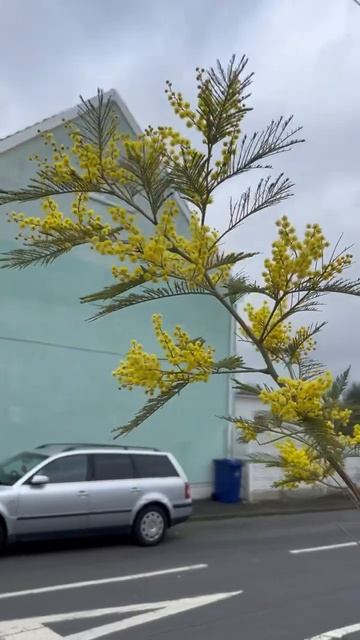 Весна. Просыпается природа.