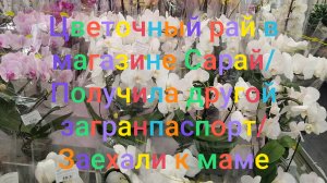 Цветочный рай в магазине Сарай/ Получила другой загранпаспорт/ Заехали к маме