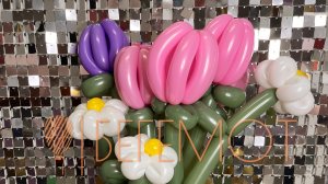 Как сделать тюльпаны и ромашки из шаров для моделирования (ШДМ)