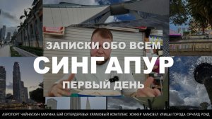 Сингапур. Первый день: город будущего, чайнатаун, фуд-корт и ночные огни