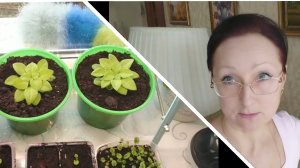 5 марта 2026 года. Видео привет с подоконника))