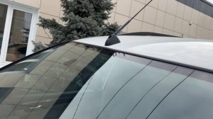 PS в родном окрасе