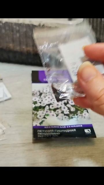 Сеем петунию.