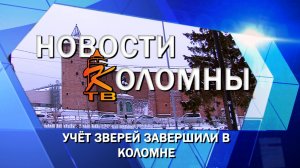 Учёт зверей завершили в Коломне
