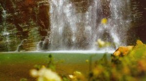 ПСАЛОМ 111 МОЛИТВА ПРОТИВ НИЩЕТЫ И ДОЛГОВ - ПУСТЬ БЛАГОСЛОВЕНИЕ ВОЙДЁТ В ТВОЙ ДОМ!