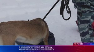 В Нижнем Тагиле сотрудники полиции исполнили желание 4-летней Елизаветы