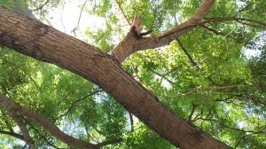 Один из дней города Евпатории | 16 июня 2021 г | Крым | ХАН БАТОН | XAH 6ATOH | VID_20210616_141959