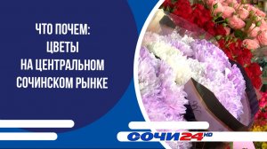 ЧТО ПОЧЕМ: Цветы на центральном сочинском рынке