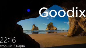 Goodix - что это такое