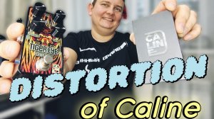 ПЕДАЛЬ CALINE TIGER EYE / ПРЕДЕЛ ДОСТУПНОСТИ