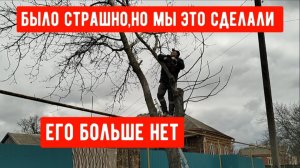 #193🏡Спилили орех/Приезжали гости/Пересадила розы/Рыба на ужин