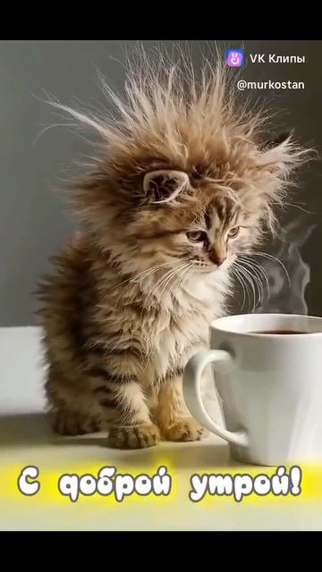 С добрым утром!!!