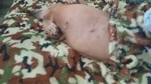 1000014580.mp4 Как день таксячий прошёл