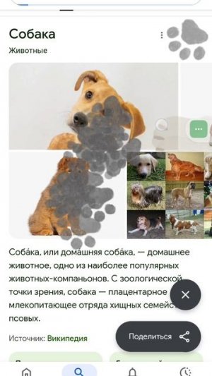 приколы с Гуглом😐