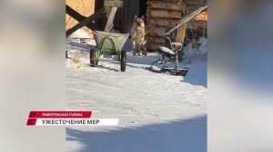 В Бурятии владельцев собак хотят наказывать жёстче