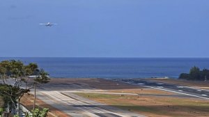 13 Февр 2026 видео с телефона орг звук