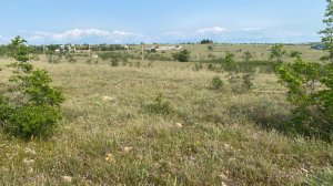 Участок Крым СНТ Садовод Маловидное