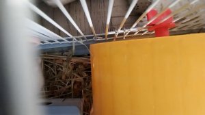 Илана хватет