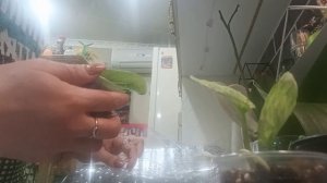 Опять посылочка.