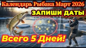 Прогноз клева рыбы на Март 2026 года. Лунный календарь рыбака. Календарь рыбака на Март 2026