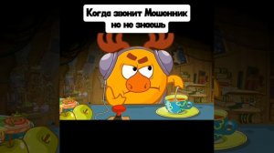 Смешарики - мемы