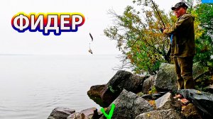 Осеннее утро на Шарташе Рыбалка на фидер