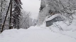 ПРОГУЛКА ПО УТРУ/ РАСПАКОВКА/ ЗАКУПКА