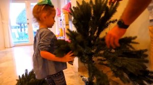 Готовимся к Новому Году, Покупаем ёлку и Деда Мороза