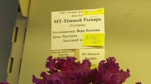 04.03.2026.Выставка фиалок в Доме фиалок.Есть новые сорта.