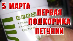5 марта. Первая подкормка петунии