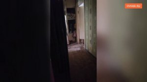 Навести порядок в квартире умершей хозяйки не могут власти