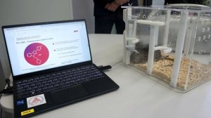 Визит в ЮФУ вице-спикера ГД Федерального Собрания РФ В.В. Абрамченко