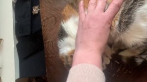 Состояние Челси не лучшее. У остальных улучшения