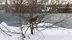 😺Мася на прогулке!☀️Прекрасное начало дня!