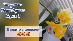 Хочушки-Вышивушки 3. Итоги февраля 🥰