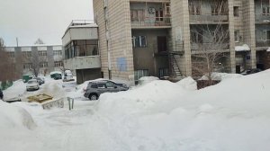 Навигатор завёл не туда. Поездка в управляющую компанию. Дневник за 5 марта