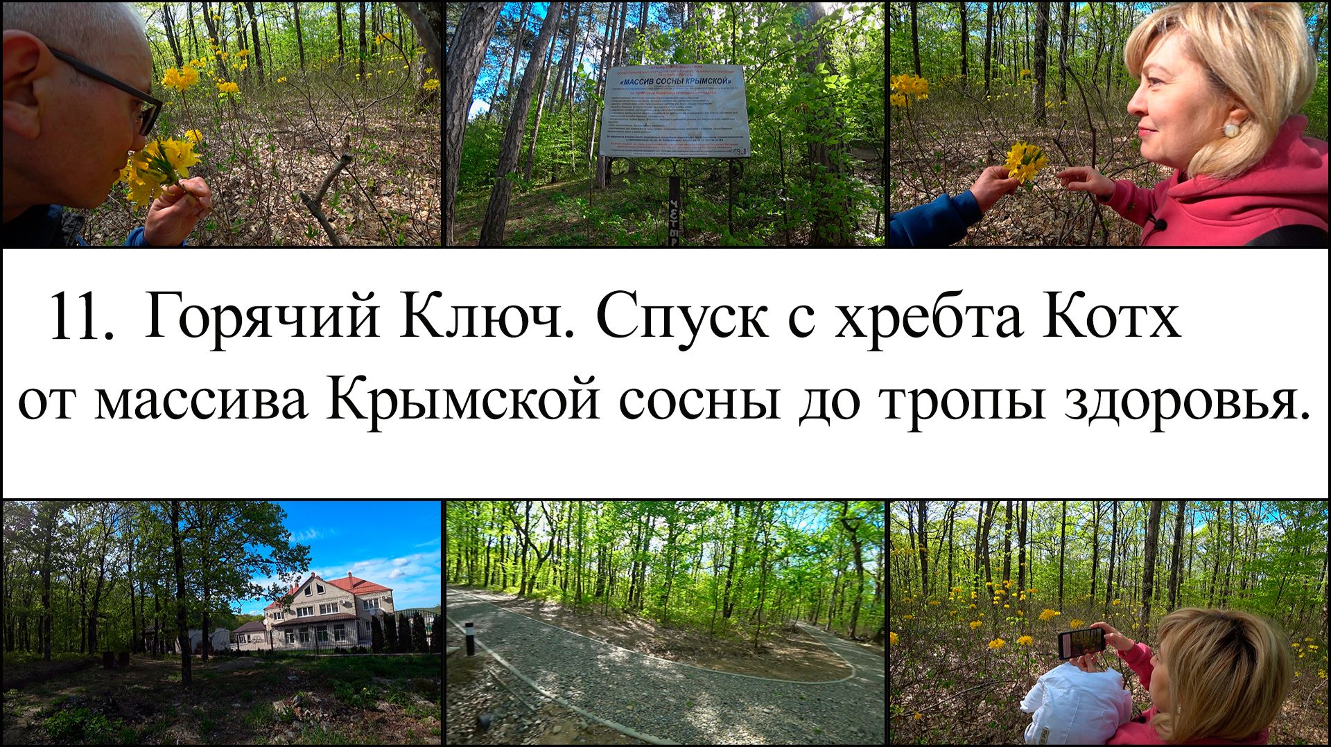 Спуск с хребта Котх от массива Крымской сосны до тропы здоровья. День 4-й, часть 11-я. 14.04.2025.