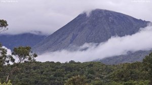 Фрагменты восхождения гида Клуба 7 Вершин Насти Кузнецовой на Меру пик в Танзании