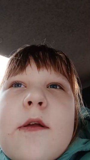 настик в машине