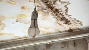 Четвертый год борьба с потопом